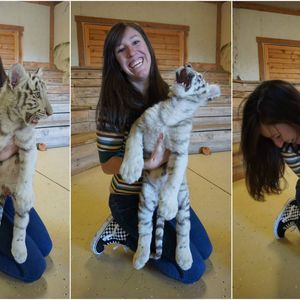 Meet your Posher, Torey